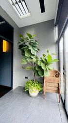Robinson Suites (D1), Apartment #473692391